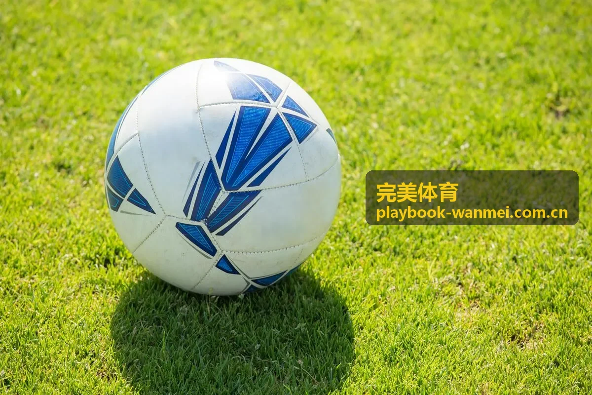 完美体育球迷在赛场氛围中交流赛事观点